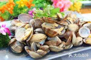 比花甲大的贝类是什么_海里花甲贝类食用注意