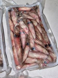 灯照鱿鱼需要处理吗_鱿鱼清洗快焯水，爆炒蒜末姜味鲜