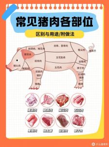 拐子肉是哪个部位_拐子肉慢炖做法，麻辣鲜香，口感紧实