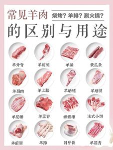 肥羊的做法大全家常_金汤肥羊，家常美味，小白也能做！
