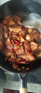 烩肉的做法大全家常_精选食材，丰富口感，家常美味！