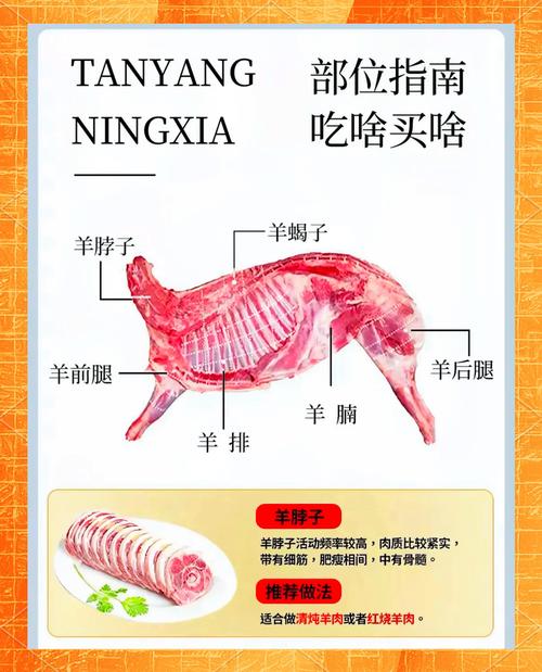 羊做法大全_羊肉部位不同,做法各异 羊做法大全_羊肉部位不同,做法各异