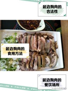 烀狗肉的正确方法_驱寒暖身美味佳肴