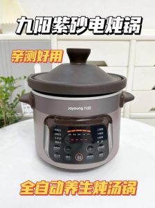 电炖锅的20种家常做法_电炖锅自动炖汤，简单又暖心