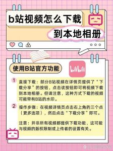 日本B站看大片入口黑网：了解相关渠道及注意事项