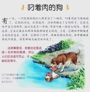 香香公主与爱犬的趣味美食文化揭秘：必吃大瓜的背后故事