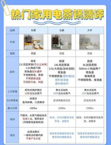 三层电蒸锅的使用方法_三层电蒸锅分层蒸，美食快又好