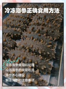 新鲜冷冻海参的吃法与做法_葱烧清蒸凉拌煲汤