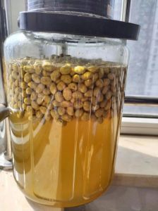 老式黄豆酱发酵做法_选豆泡发，发酵45天，美味自然来