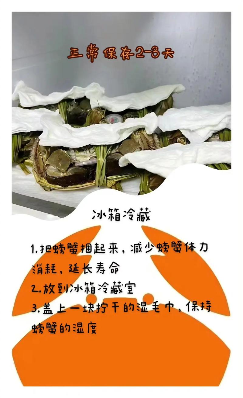 冷冻海螃蟹的处理方法及做法_解冻冷冻蟹技巧，香辣清蒸做法全攻略