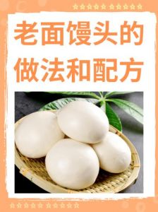 老式发面包子的做法_天然酵母，劲道美味！