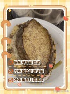 鲍鱼冷冻的正确做法_冷冻鲍鱼要新鲜，吸干水分急冻，真空包装可保存3-4个月