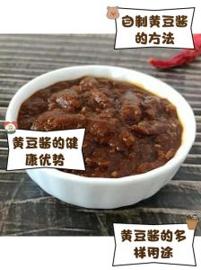 农村黄豆酱的做法大全_大酱与盘酱风味对比，自制方法详解