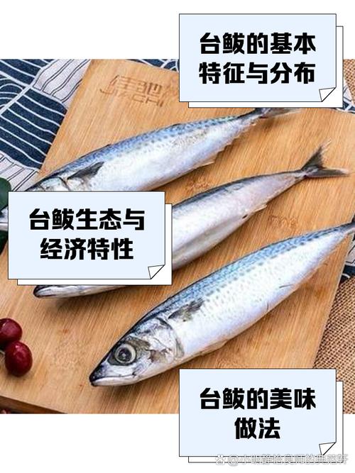 鲅鱼和肉馅的比例_鲜香美味做法