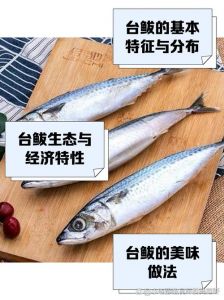 鲅鱼和肉馅的比例_鲜香美味做法