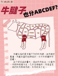 牛有没有肥肉_牛肉肥瘦有差异，部位不同脂肪含量也不同