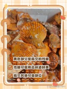 扇贝那坨黄的叫什么_扇贝黄是扇贝精华，美味营养，可食用