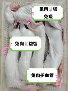 兔肉的嘌呤含量高吗_痛风慎吃兔肉，可选鸡胸鱼虾，饮食管理很重要