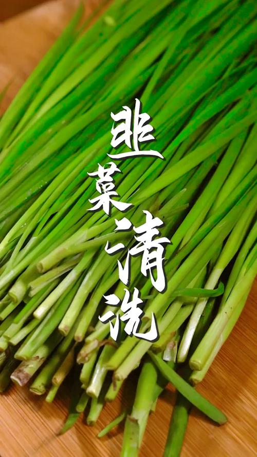 韭菜要怎么洗_盐水苏打面粉除残留