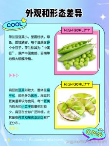 扁豆和荷兰豆一样吗_扁豆荷兰豆怎么选？营养口感大不同