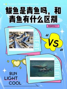 沙丁青鱼鲅鱼对比图_沙丁鱼和鲅鱼怎么区分？