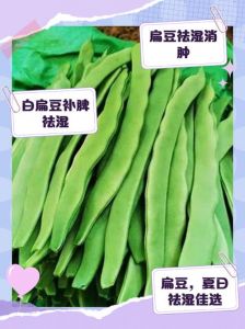 扁豆是荷兰豆吗_扁豆荷兰豆哪个好？营养做法大不同