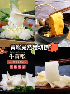 火锅黄喉是什么动物身上的_牛黄喉爽脆VS猪黄喉软嫩，涮火锅凉拌都适宜