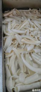 黄喉牛心管是一个东西吗_黄喉牛心管大血管，口感不同，火锅炖煮各有所长