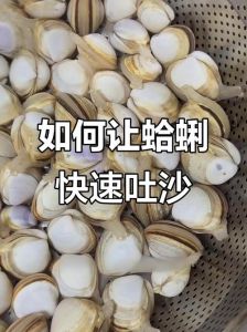 花蛤买回来怎么吐沙_多种方法轻松搞定