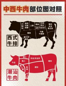 全牛分解各部位详细图_酱烧牛颈卤牛舌，牛腩炖煮牛排煎，牛尾煲汤红烧鲜
