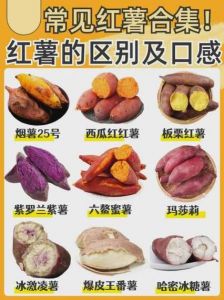 山芋地瓜红薯是一种东西吗_红薯营养好，蒸烤皆宜！