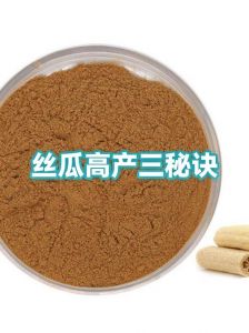 丝瓜里面的籽要去掉吗_营养好，巧食用