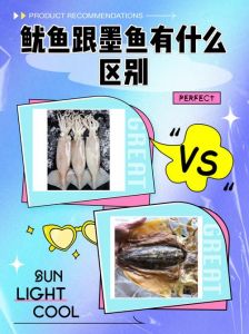 鱿鱼和乌贼图片对比_章鱼乌贼鱿鱼怎么分？看腕数形和新鲜度！