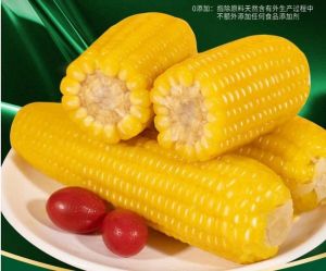 怎么识别糯玉米_口感营养怎么选？