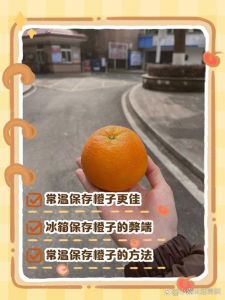 橙子的储存方法冬季怎么保存_橙子怎么存？8-10℃阴凉通风，表皮好可延长保存期