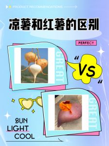 凉薯与山芋有什么区别_凉薯和山芋是两种不同的植物