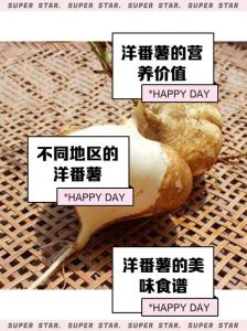 土豆别名叫洋芋吗_土豆洋芋一家亲，营养美味传四方