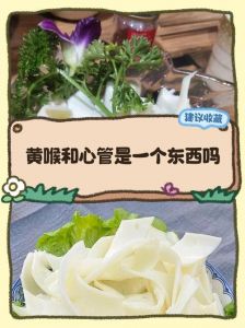 心管和黄喉区别图_火锅黄喉心管怎么分？
