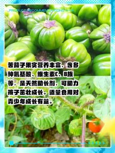 茄子吃着苦是什么原因_茄子发苦怎么解决？