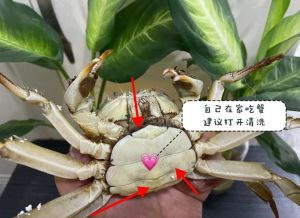 新鲜大闸蟹怎么清洗_大闸蟹清洗四步法，保鲜又卫生