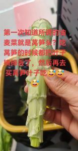 芦笋头是油麦菜吗_口感营养大不同