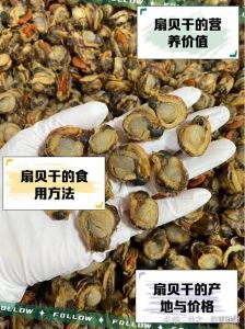 干贝与扇贝区别图_干贝扇贝有啥区别？