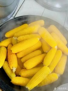 玉米蒸多长时间熟_蒸玉米多长时间？甜糯老玉米时间大不同