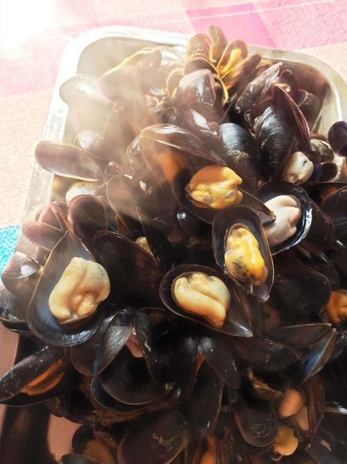 蛤蜊扇贝生蚝是一样的东西吗_蛤蜊生蚝扇贝鲍鱼，海鲜各不同