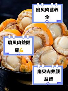 港贝和扇贝有什么区别_港贝小红贝与栉孔贝哪个好？