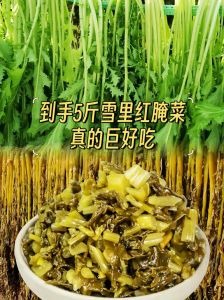 雪菜芥菜一样吗_雪菜芥菜有区别，腌制风味各不同