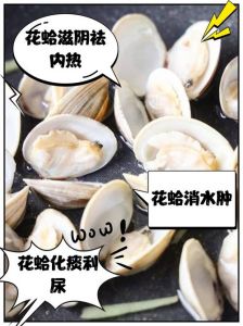 蚬子和蛤蜊是一个东西吗_大小颜色生态不同