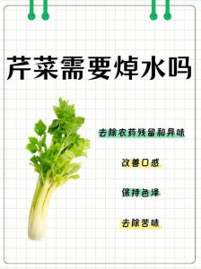 芹菜包饺子需要焯水吗_芹菜包饺子要不要焯水？看情况！