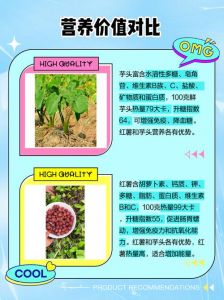 芋头口感和红薯一样吗_芋头红薯怎么分？形状口感营养大不同