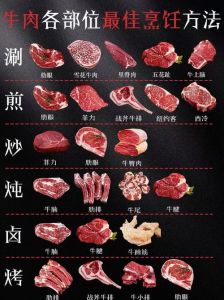 牛杂是什么部位的肉_各地风味，独特口感！